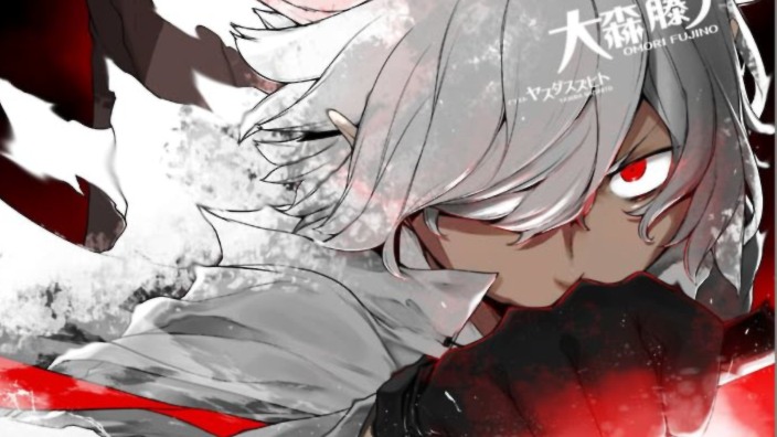 DanMachi Novel Vol.20 DanMachi Novel Vol.20